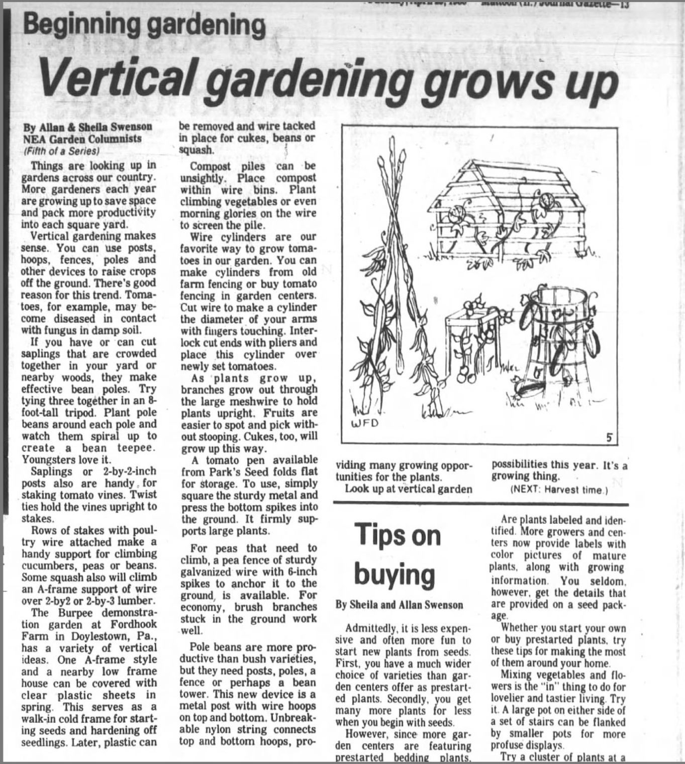 Vertical gardening grows up